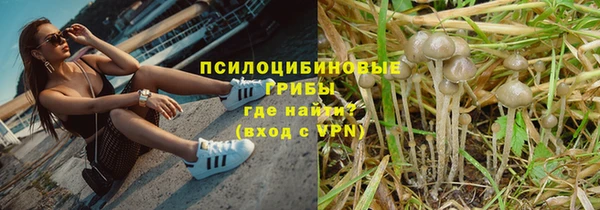 таблы Бородино